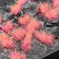 Alien-Pink-6mm