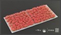 Red-Flowers