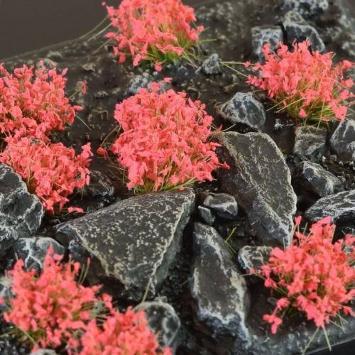 Red-Flowers