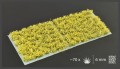 Yellow-Flowers