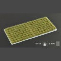 Mixed-Green-6mm