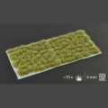 pol_pl_Mixed-Green-6mm-19473_3.jpg