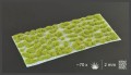 Moss-2mm