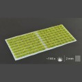 Moss-2mm