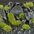Moss-2mm
