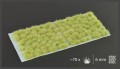 Light-Green-6mm