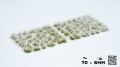 pol_pl_White-Flowers