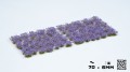 pol_pl_Violet-Flowers