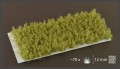 pol_pl_Spikey-Green-12mm