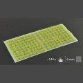 pol_pl_Light-Green-6mm-19045_3