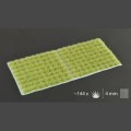 pol_pl_Light-Green-4mm-19016_3.jpg