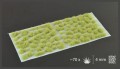 pol_pl_Light-Green-4mm-19016_1.jpg