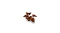 pol_pl_Laser-Plants-Alien-Flytrap-Kosmiczna-Rosiczka-22176_2.jpg