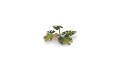 pol_pl_Laser-Plants-Monstera-22179_3.jpg