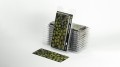 pol_pl_Laser-Plants-Monstera-22179_6.jpg