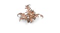 pol_pl_Laser-Plants-Dry-Bracken-Wysuszona-Paproc-22178_1.jpg