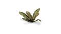 pol_pl_Laser-Plants-Banana-Tree-Bananowiec-22173_2.jpg
