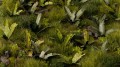 pol_pl_Laser-Plants-Banana-Tree-Bananowiec-22173_3.jpg