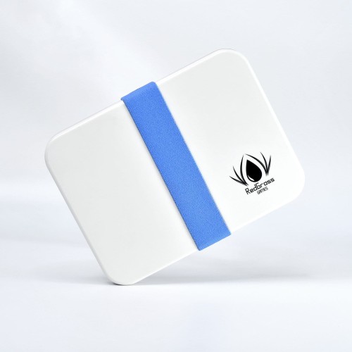 Painter-lite-Blue-square.jpg