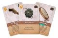 fateforge-kroniki-kaan (3).jpg
