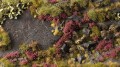 gamers-grass-heather-flowers (1).jpg