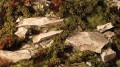 gamers-grass-dry-green-shrubs (1).jpg