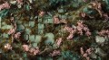 gamers-grass-cherry-blossom-flowers (1).jpg