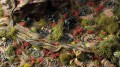 gamers-grass-poppy-tiny-flowers (1).jpg