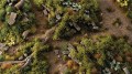 gamers-grass-strong-green-shrubs (1).jpg