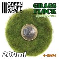 static-grass-flock-4-6mm-spring-grass-200-ml (1).jpg