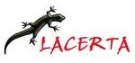 Lacerta
